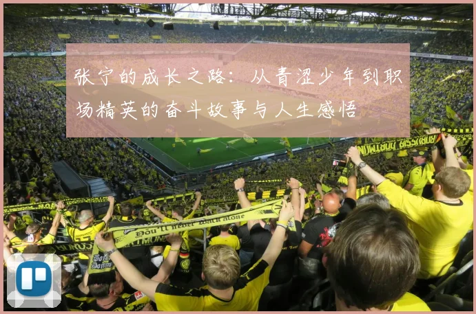 张宁的成长之路：从青涩少年到职场精英的奋斗故事与人生感悟