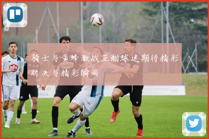 骑士与黄蜂激战正酣球迷期待精彩对决与精彩瞬间
