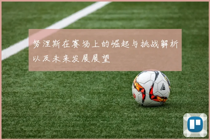 努涅斯在赛场上的崛起与挑战解析以及未来发展展望