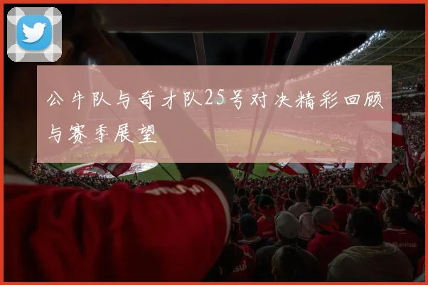 公牛队与奇才队25号对决精彩回顾与赛季展望