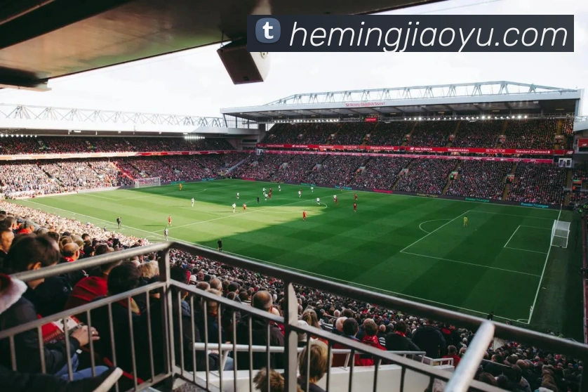 15vip太阳成APP 封面图